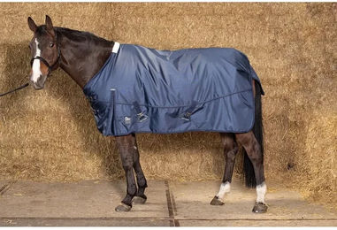 Produktbild von Harry's Horse Xtreme 1680D Outdoor-Decke für Pferde in Blau mit 300 g Füllung