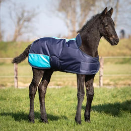 Harrys Horse Fohlen-Decke TwoTone Blau – Bild 1 von 3