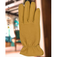 Produktbild von Hauke Schmidt Reithandschuhe Ranger Curry Leder Winter Beige Gelb