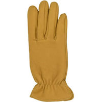 Produktbild von Haukeschmidt Ranger Reithandschuhe aus Leder für Winter Unisex in Braun oder Gelb Taille 7