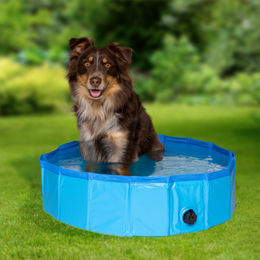 Haushalt International Hundepool Blau aus Polyester wasserdicht Größe L – Bild 1 von 4