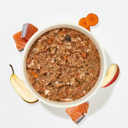 Produktbild von haustierkost BARF Komfort Plus Lachs Fertigbarf Hund mit hohem Fleischanteil 250g