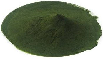 haustierkost Bio-Chlorella Einzelfuttermittel für Hunde und Katzen 100g - 100 g – Bild 1 von 2