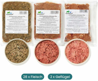 haustierkost.de BARF Frostfutter Hund Aktiv Rind und Truthahn Monoprotein Sensitive 15 kg - 15 kg – Bild 1 von 6