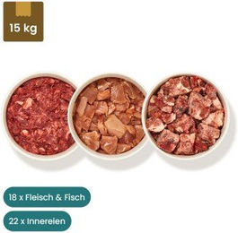 haustierkost.de BARF Frostfutter Paket für übergewichtige Katzen mit Fleisch Fisch und Innereien 15 kg - 15 x 1 kg – Bild 1 von 7