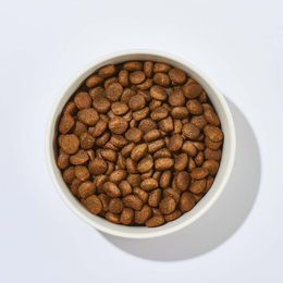 Produktbild von haustierkost.de Hundefutter Adult Kaninchen und Lachs Getreidefrei Monoprotein Sensitive 4kg