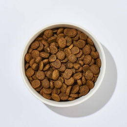 Produktbild von haustierkost.de Hundefutter Rentier & Wild Nassfutter für adulte Hunde getreidefrei 1kg - 1 kg