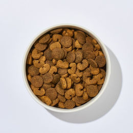 Produktbild von haustierkost.de Hundefutter Strauß und Hirse getreidefrei für erwachsene Hunde 1 kg - 1 kg