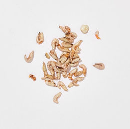 Produktbild von haustierkost.de Nordseekrabben gefriergetrocknet 60 g Einzelfuttermittel für Hunde und Katzen Monoprotein ohne Zusätze - 60 g