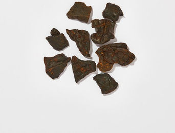 haustierkost.de Pferdeleber getrocknetes Trockenfleisch für Hunde und Katzen 1kg hypoallergen und monoproteinreich – Bild 1 von 2