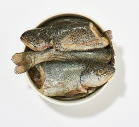 haustierkost Forellen am Stück Hypoallergen für Hunde und Katzen 1kg - 1 kg – Bild 1 von 2
