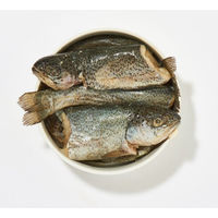 Produktbild von haustierkost Forellen am Stück Hypoallergen für Hunde und Katzen 1kg - 1 kg