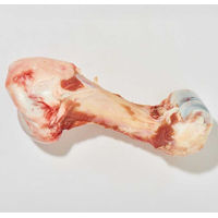 Produktbild von haustierkost Kalbsröhrenknochen für Hunde 1,5 kg roher Kauartikel reich an Calcium - 1,2 kg
