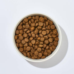 Produktbild von Haustierkost Pferd mit Süßkartoffel Getreidefrei BARF-Menü für Hunde Adult 1 kg - 1 kg