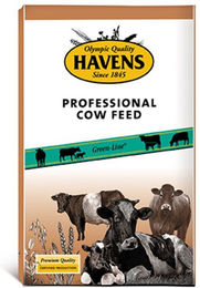 Havens Cow Junior+ – Bild 1 von 1