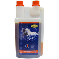 Produktbild von Havens Equiforce B+ Liquid Vitamintropfen für Pferde zur Unterstützung von Energiestoffwechsel und Verdauung 1000 ml