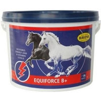 Produktbild von Havens EquiForce B+ Pferdefutter Liquid zur Unterstützung von Energiestoffwechsel und Verdauung mit Vitaminen 1000ml