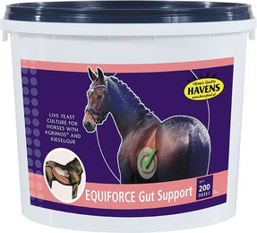 Produktbild von Havens EquiForce Gut Support Pferdefutter mit Probiotika zur Unterstützung von Magen-Darm und Verdauung 1000g