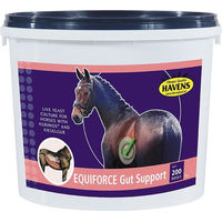 Produktbild von Havens EquiForce Gut Support Pferdefutter mit Probiotika zur Unterstützung von Magen-Darm und Verdauung 1000g