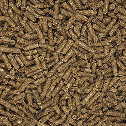 Havens Lämmer Pellets 100% Vegan 25 kg – Bild 1 von 3