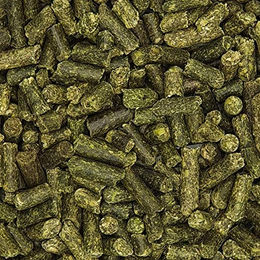 Havens Luzernepellets zur Unterstützung der Verdauung und des Stoffwechsels 25kg – Bild 1 von 4