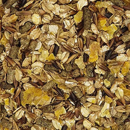 Havens Power-Plus Mix Müsli mit Elektrolyten für Sport und Leistung 20 kg - 20 kg – Bild 1 von 4