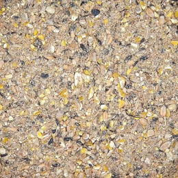 Havens Start & Grow Aufzuchtmehl für Hühner 25 kg - 25 kg – Bild 1 von 4
