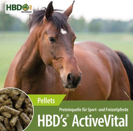 Produktbild von HBD's Active Vital Nahrungsergänzung zur Unterstützung des Muskelaufbaus