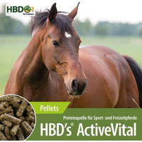 Produktbild von HBD's Active Vital Nahrungsergänzung zur Unterstützung des Muskelaufbaus