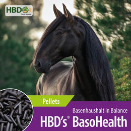 Produktbild von HBD's Baso Health Ergänzungsfutter für Magen-Darm-Trakt und Stoffwechsel