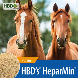 Produktbild von HBD's HeparMin Ergänzungsfutter für Pferde zur Unterstützung von Magen-Darm und Muskelaufbau