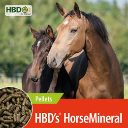 Produktbild von HBD's HorseMineral Pellets Mineralfutter für Pferde 3,5kg
