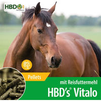 Produktbild von HBD's Vitalo Kraftfutter Pellets für Senior Pferde zur Unterstützung bei Allergien, Hufrehe und Sport & Leistung