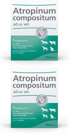Heel Atropinum Compositum Ampullen für Katzen aller Altersstufen – Bild 1 von 1