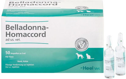 Produktbild von Heel Belladonna-Homaccord ad us. vet. Ampullen für alle Altersstufen