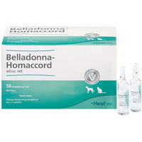 Produktbild von Heel Belladonna-Homaccord ad us. vet. Ampullen für alle Altersstufen