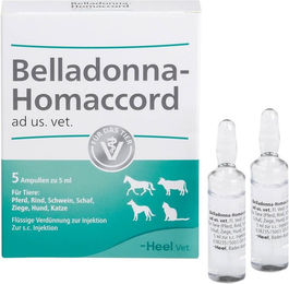 Heel Belladonna Homaccord Vet Ampullen für alle Altersstufen – Bild 1 von 2