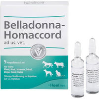 Produktbild von Heel Belladonna Homaccord Vet Ampullen für alle Altersstufen