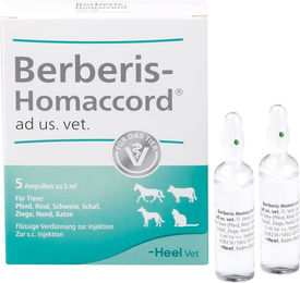 Heel Berberis Homaccord Vet Ampullen – Bild 1 von 2