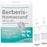 Produktbild von Heel Berberis Homaccord Vet Ampullen
