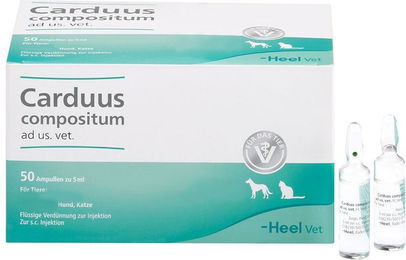 Produktbild von Heel Carduus compositum Ampullen zur Unterstützung von Leber und Nieren für alle Altersstufen 250 ml
