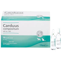 Produktbild von Heel Carduus compositum Ampullen zur Unterstützung von Leber und Nieren für alle Altersstufen 250 ml