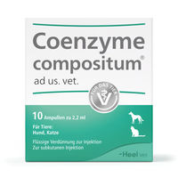 Produktbild von Heel COENZYME compositum ad. us. vet. 10 Ampullen