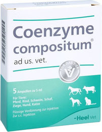Heel Coenzyme Compositum Ad Us. Vet Flüssigkeit für alle Altersstufen – Bild 1 von 2