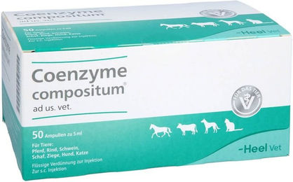 Heel Coenzyme Compositum Ad Us. Vet Flüssigkeit für alle Altersstufen 250 ml – Bild 1 von 4