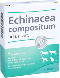 Heel Echinacea Compositum Ad Us. Vet Ampullen zur Immunstärkung und Unterstützung der Atemwege für Tiere aller Altersstufen – Bild 1 von 2