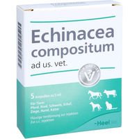 Produktbild von Heel Echinacea Compositum Ad Us. Vet Ampullen zur Immunstärkung und Unterstützung der Atemwege für Tiere aller Altersstufen