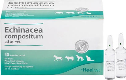 Produktbild von Heel Echinacea Compositum zur Immunstärkung und Unterstützung der Atemwege für Welpen als Flüssigkeit
