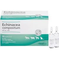 Produktbild von Heel Echinacea Compositum zur Immunstärkung und Unterstützung der Atemwege für Welpen als Flüssigkeit