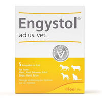 Produktbild von Heel Engystol ad us. vet 5 Ampullen